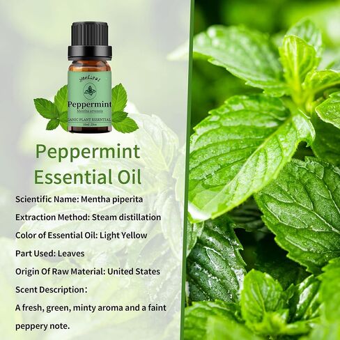 مجموعة هدايا زيت اللبان المر العطري 10 مل من زيت المر العطري، زيت علاج عطري للناشر والعطر وصناعة شموع الصابون (اللبان + المر) in Kuwait