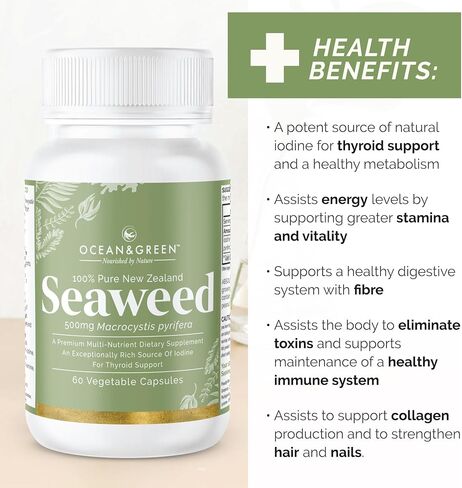 Oceangreen Organics Seaweed Kelp Supplements New Zealand | Premium - 100% Pure Organic & Natural - Multi-Nutrient & Thyroid Support Supplement - Natural Source of Iodine | 60 Vegetarian Capsules in Saudi Arabia