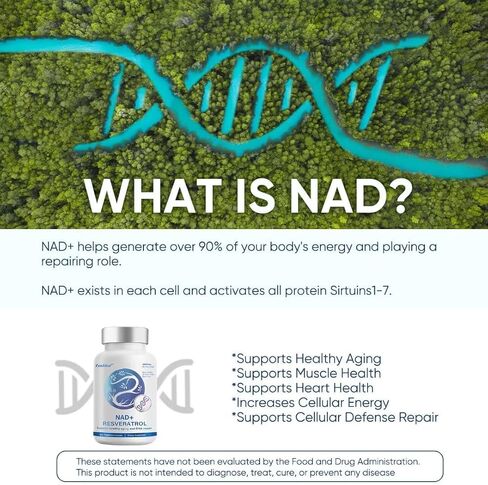 NAD+ 1000 مجم مكمل تعزيز ريسفيراترول - أكثر كفاءة من NMN - نيكوتيناميد ريبوسيد لاستقلاب الطاقة الخلوية وإصلاحها والحيوية والشيخوخة الصحية in Kuwait