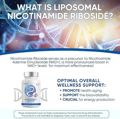 Zenlifer-2000MG Liposomal Nicotinamide Riboside ملحق، مع Trans-Pterostilbene والبيتين اللامائي (TMG) للحصول على أقصى قدر من الامتصاص، متفوق على NAD، وتعزيز NAD+، والطاقة الخلوية، والدفاع عن العمر in Kuwait