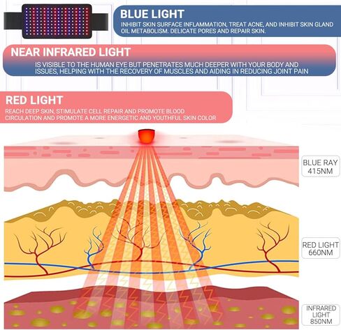 حزام علاج بالضوء الاحمر من ال بي اس ايه اف بي مع ضوء ازرق 415 نانومتر بالاشعة تحت الحمراء 660 نانومتر و850 نانومتر، حزام علاج مرن قابل للارتداء لتخفيف الام المفاصل والكتف والظهر وتخفيف الام العضلات in Kuwait