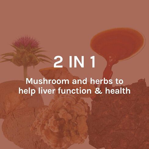 Host Defense, MycoBotanicals Liver Capsules, Supports Liver Health and Detoxification, Mushroom and Herb Supplement, 60 Capsules, Unflavored in Saudi Arabia
