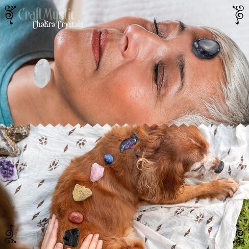 Crystals and Healing Stones for Positive Energy - Bulk Set 33 Real Gemstones and Crystals Raw Rocks Necklace Bracelet - Chakra Crystals for Beginners Manifesting Spiritual Care Witchcraft Accessories in Kuwait