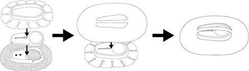 درع وواقي G6 من ديككوم مع رقع | أفضل ملحق ديككوم لتوفير الحماية الإضافية لمرضى السكري باستخدام G6 | (25) رقع ديككوم G6 وعبوة كومبو شيلد in Kuwait