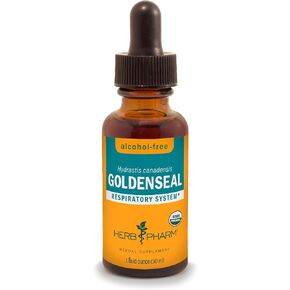 مستخلص سائل Goldenseal العضوي المعتمد من Herb Pharm لدعم الجهاز التنفسي - 4 أونصة in Kuwait