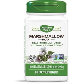 Nature's Way Marshmallow Root 480 mg، 100 كبسولة، عبوة من 2 in Kuwait