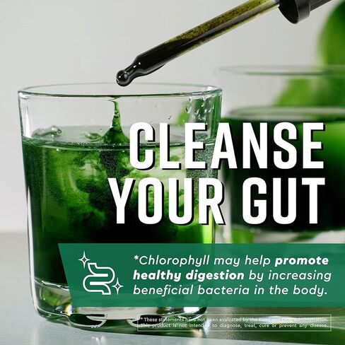 360 Nutrition Matcha Chlorophyll Liquid Drops with L-Theanine, Gluten Free & Vegan Internal Deodorant Supplement, Supports Gut Health, Digestion, Energy, Radiant Skin, Fast Absorption, 60 Servings in Kuwait