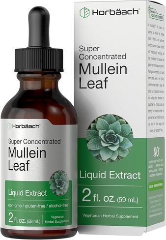Mullein Leaf Tincture Drops | 2 fl oz | Alcohol Free Liquid Extract | Vegetarian, Non-GMO & Gluten Free Herbal Supplement | by Horbaach in Saudi Arabia