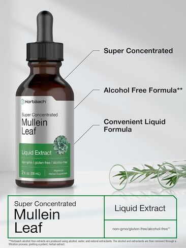 Mullein Leaf Tincture Drops | 2 fl oz | Alcohol Free Liquid Extract | Vegetarian, Non-GMO & Gluten Free Herbal Supplement | by Horbaach in Saudi Arabia