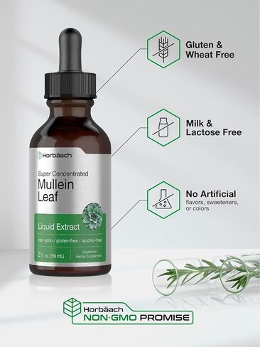 Mullein Leaf Tincture Drops | 2 fl oz | Alcohol Free Liquid Extract | Vegetarian, Non-GMO & Gluten Free Herbal Supplement | by Horbaach in Saudi Arabia