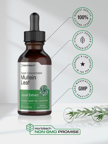 Mullein Leaf Tincture Drops | 2 fl oz | Alcohol Free Liquid Extract | Vegetarian, Non-GMO & Gluten Free Herbal Supplement | by Horbaach in Saudi Arabia