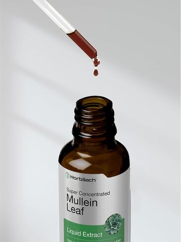 Mullein Leaf Tincture Drops | 2 fl oz | Alcohol Free Liquid Extract | Vegetarian, Non-GMO & Gluten Free Herbal Supplement | by Horbaach in Saudi Arabia