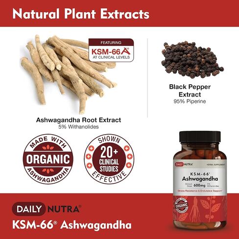 DailyNutra KSM-66 Ashwagandha 600mg Organic Root Extract - High Potency Supplement with 5% Withanolides | Supports Relaxation, Focus, & Energy (90 Capsules) in Kuwait