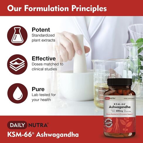 DailyNutra KSM-66 Ashwagandha 600mg Organic Root Extract - High Potency Supplement with 5% Withanolides | Supports Relaxation, Focus, & Energy (90 Capsules) in Kuwait