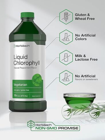 Chlorophyll Liquid Drops 100mg | 32 oz (2 x 16 oz Bottles) | Natural Peppermint Flavor | Vegetarian, Non-GMO, and Gluten Free Formula | by Horbaach in Saudi Arabia