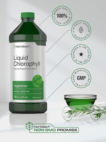 Chlorophyll Liquid Drops 100mg | 32 oz (2 x 16 oz Bottles) | Natural Peppermint Flavor | Vegetarian, Non-GMO, and Gluten Free Formula | by Horbaach in Saudi Arabia