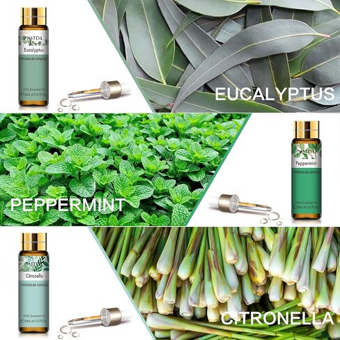 15PCS Essential Oils Set - 5ml/0.17fl.oz Premium Quality Essential Oils for Diffusers, DIY Soap Candle Making, Gifts for Families and Friends in Kuwait