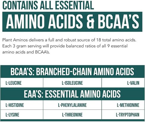 Plant Aminos Organic Essential Amino Acids (EAAs) & BCAA - 100% Plant-Based Raw, Vegan - All 9 Amino Acids with 18 Total Amino Acids (360 Tablets) in Saudi Arabia