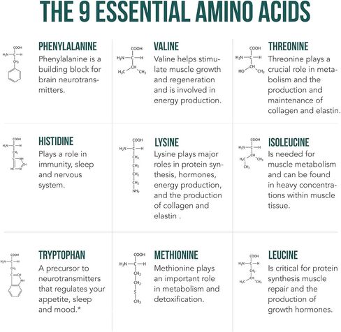 Plant Aminos Organic Essential Amino Acids (EAAs) & BCAA - 100% Plant-Based Raw, Vegan - All 9 Amino Acids with 18 Total Amino Acids (360 Tablets) in Saudi Arabia