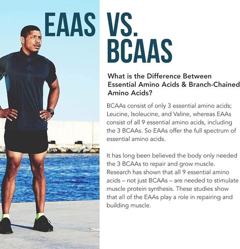 Plant Aminos Organic Essential Amino Acids (EAAs) & BCAA - 100% Plant-Based Raw, Vegan - All 9 Amino Acids with 18 Total Amino Acids (360 Tablets) in Saudi Arabia