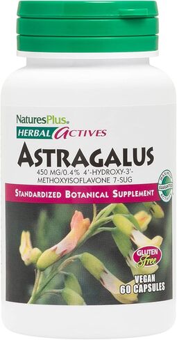 NaturesPlus Herbal Actives Astragalus - 450 mg, 60 Vegan Capsules - 60 Servings in Saudi Arabia