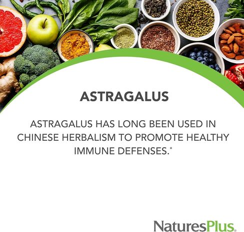 NaturesPlus Herbal Actives Astragalus - 450 mg, 60 Vegan Capsules - 60 Servings in Saudi Arabia