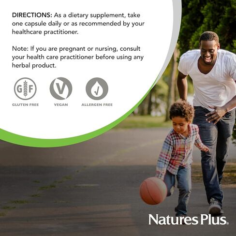 NaturesPlus Herbal Actives Astragalus - 450 mg, 60 Vegan Capsules - 60 Servings in Saudi Arabia