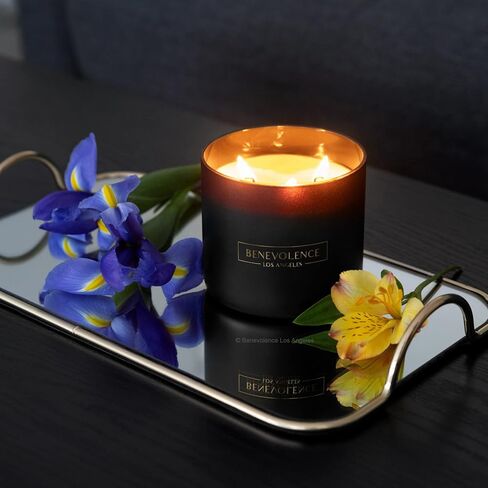 شمعة معطرة برائحة البرغموت والياسمين من بينفولنس لا | شموع معطرة بوزن 8 أونصة للمنزل | هدايا شموع الصويا الطبيعية للنساء | شمعة برائحة العلاج العطري تحترق لمدة 45 ساعة | شموع الصيف in Saudi Arabia