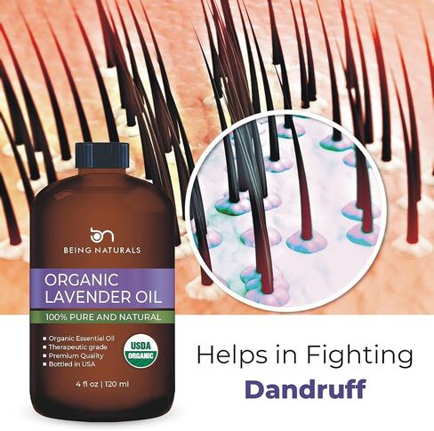 Eucalyptus Essential Oil - Huge 4 FL OZ - 100% Pure & Natural – Premium Natural Oil with Glass Dropper (Eucalyptus Oil) in Kuwait