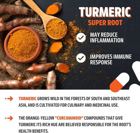 Vital Choice Turmeric in Sockeye Salmon Oil, Easy to Absorb Curcumin, Omega 3 Fish Oil, Nutritional & Vitamin Supplements, Prenatal & Postnatal Vitamin, 500mg Soft Gels, 120 Count in Saudi Arabia