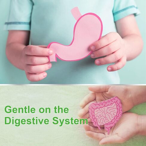 ORGMAX فيتامينات متعددة مع حديد 68 ملغ، مكمل حديد مع فيتامين C، B12 وحمض الفوليك، دعم الطاقة، إطلاق بطيء، فعالية عالية، لا غثيان أو إمساك، نباتي 90 قرصًا in Kuwait