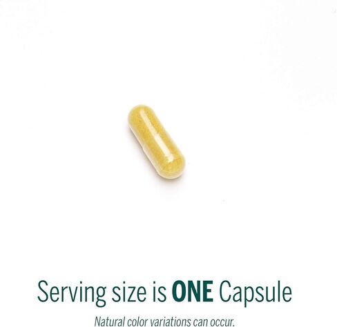 Genestra Brands Berberis Formula | Barberry, Goldenseal, and Oregon Grape Herbal Supplement | 90 Capsules in Saudi Arabia