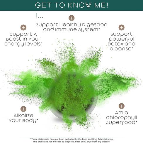 Organic Barley Grass Juice Powder– Utah Grown Raw Barley Grass Juice Extract & Green Juice Powder for Detox- Complements Wheatgrass Juice- Made to EverRaw® Standard with BioActive Dehydration™- 5.3 oz in Kuwait