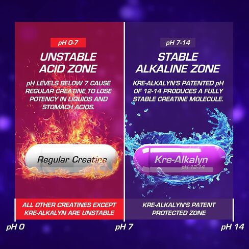 EFX Sports Kre-Alkalyn EFX | مكمل حبوب الكرياتين مونوهيدراتي الصحيح لدرجة الحموضة | القوة ونمو العضلات والأداء | 60 حصة، 120 كبسولة in Kuwait