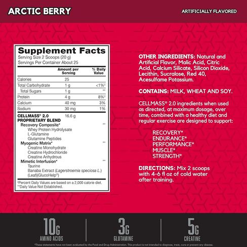 BSN CELLMASS 2.0 Post Workout Recovery with BCAA, Creatine, & Glutamine - Keto Friendly - Arctic Berry, (25 Servings) (1048058) in Saudi Arabia