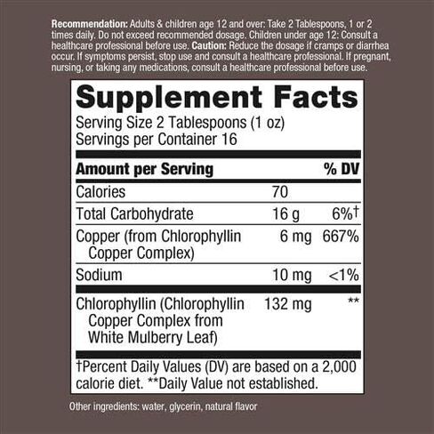 Nature's Way Chlorofresh Liquid Chlorophyll Internal Deodorant 16 Fluid Ounces, Mint Flavor, Pack of 2 in Saudi Arabia