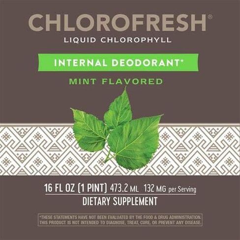 Nature's Way Chlorofresh Liquid Chlorophyll Internal Deodorant 16 Fluid Ounces, Mint Flavor, Pack of 2 in Saudi Arabia