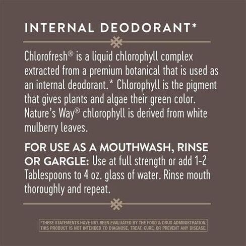 Nature's Way Chlorofresh Liquid Chlorophyll Internal Deodorant 16 Fluid Ounces, Mint Flavor, Pack of 2 in Saudi Arabia