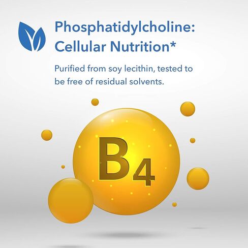 Allergy Research Group Phosphatidyl Choline - 385 mg - 100 Softgels in Saudi Arabia