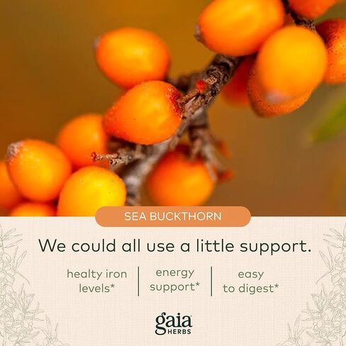 Gaia Herbs Plant Force Liquid Iron - Vegetarian Iron Supplement to Help Maintain Healthy Iron & Energy Levels - with Star Anise, Sea Buckthorn, Beet Root, Dandelion & Nettle - 8.5 Fl Oz (25 Servings) in Saudi Arabia
