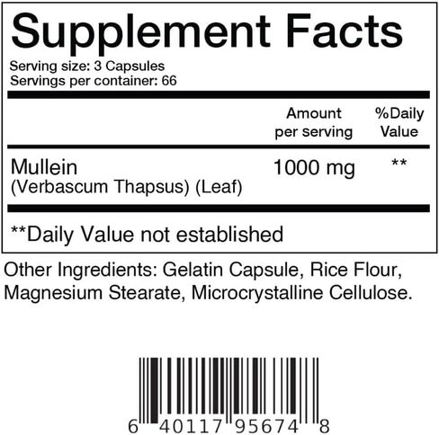 Mullein Leaf 1000 mg Supplement, 200 Count - Support Respiratory & Bronchial Health and Build Natural Immune Function in Kuwait