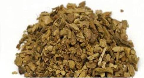 Organic Yellowdock Root C/S in Saudi Arabia