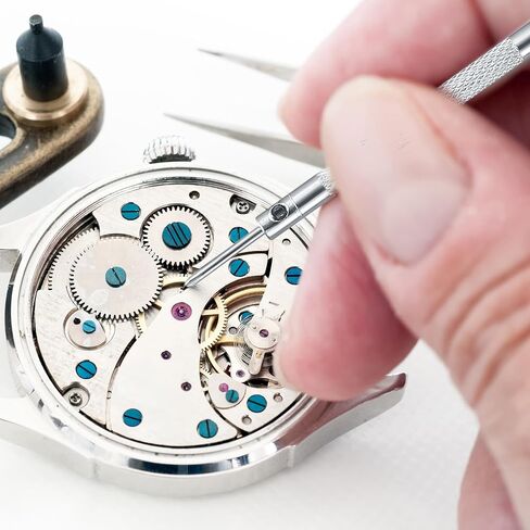 مجموعة براغي إصلاح النظارات الصغيرة، براغي ساعة شمسية صغيرة/صغيرة/صغيرة لإصلاح النظارات والساعات والمجوهرات والنظارات، 1260 قطعة، مع مفك براغي وملاقط in Kuwait