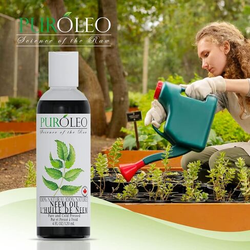 PUROLEO NEEM Oil 128 Fl Oz/3784 ML (Packed In Canada) 100% Pure and Natural Neem Oil for Multipurpose Use | Neem Oil extracted from NEEM Plante Chemical free Neem Oil Spray in Saudi Arabia
