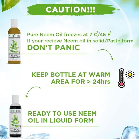 PUROLEO NEEM Oil 128 Fl Oz/3784 ML (Packed In Canada) 100% Pure and Natural Neem Oil for Multipurpose Use | Neem Oil extracted from NEEM Plante Chemical free Neem Oil Spray in Saudi Arabia