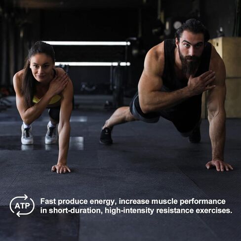 Creatine Monohydrate Gummies for Men & Women 5g, Sugar Free Chewable Creatine for Muscle Gain & Strength, ATP Energy, Muscle Recovery, Brain Health, Gluten Free, Non-GMO, 99% Absorbed, 30 Servings in Kuwait