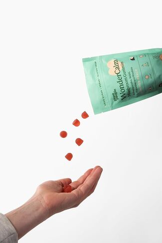 Plant People WonderCalm Mushroom Gummies - Natural Ashwagandha Supplement to Ease Stress & Boost Mood for Adults without Sugar, Gluten or Artificial Colors, Vegan-Friendly, Peach Flavor, 60 Count in Kuwait