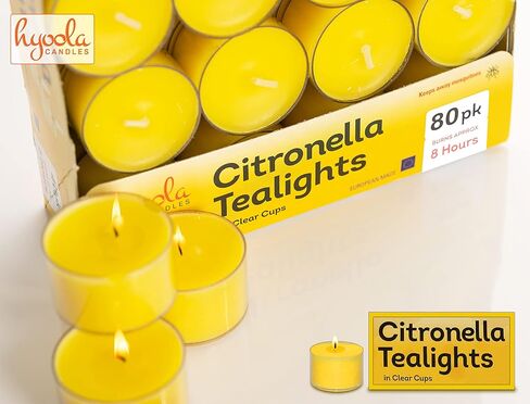شموع السترونيلا من Tealight للاستخدام الخارجي - وقت الاحتراق لمدة 8 ساعات - شمعة السترونيلا الطاردة للبعوض والحشرات والحشرات في الأماكن المغلقة والهواء الطلق - رائحة منعشة طبيعية - مزخرفة في كوب شفاف - 40 عبوة in Kuwait