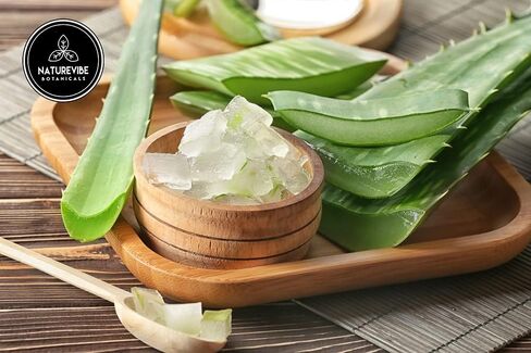 Naturevibe Botanicals Aloe Vera Leaf Powder, 5lbs - Aloe Barbadensis (80 Ounces) in Kuwait