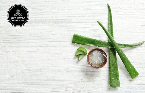 Naturevibe Botanicals Aloe Vera Leaf Powder, 5lbs - Aloe Barbadensis (80 Ounces) in Kuwait